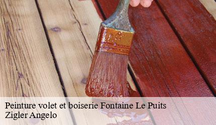 Peinture volet et boiserie  fontaine-le-puits-73600 Zigler Angelo