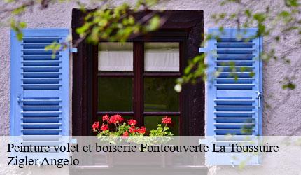 Peinture volet et boiserie  fontcouverte-la-toussuire-73300 Zigler Angelo