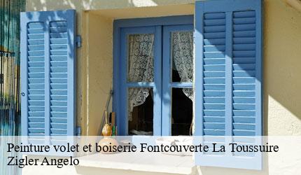 Peinture volet et boiserie  fontcouverte-la-toussuire-73300 Zigler Angelo