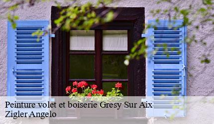 Peinture volet et boiserie  gresy-sur-aix-73100 Zigler Angelo