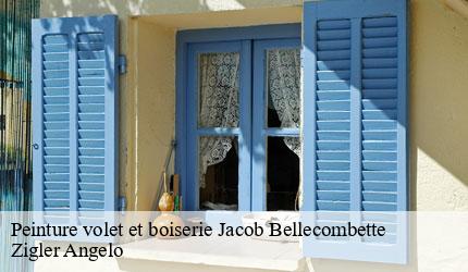 Peinture volet et boiserie  jacob-bellecombette-73000 Zigler Angelo