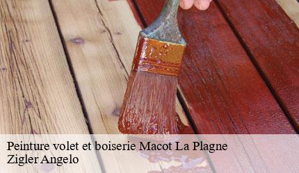 Peinture volet et boiserie  macot-la-plagne-73210 Zigler Angelo