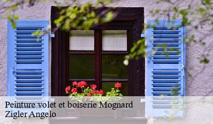 Peinture volet et boiserie  mognard-73410 Zigler Angelo