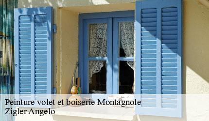 Peinture volet et boiserie  montagnole-73000 Zigler Angelo