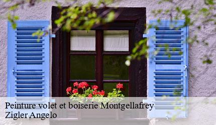 Peinture volet et boiserie  montgellafrey-73130 Zigler Angelo