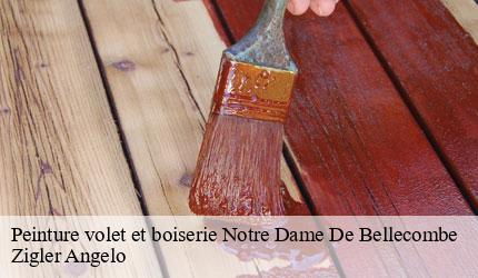 Peinture volet et boiserie  notre-dame-de-bellecombe-73590 Zigler Angelo