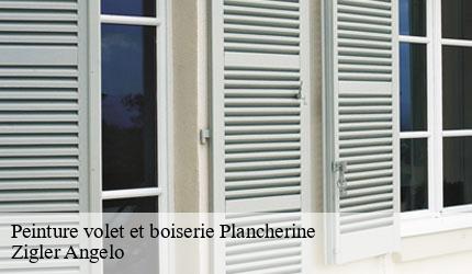 Peinture volet et boiserie  plancherine-73200 Zigler Angelo