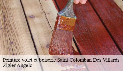 Peinture volet et boiserie  saint-colomban-des-villards-73130 Zigler Angelo