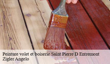 Peinture volet et boiserie  saint-pierre-d-entremont-73670 Zigler Angelo