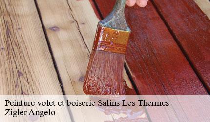 Peinture volet et boiserie  salins-les-thermes-73600 Zigler Angelo